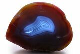 Colorful, Polished Patagonia Agate - Fluorescent! #260760-1